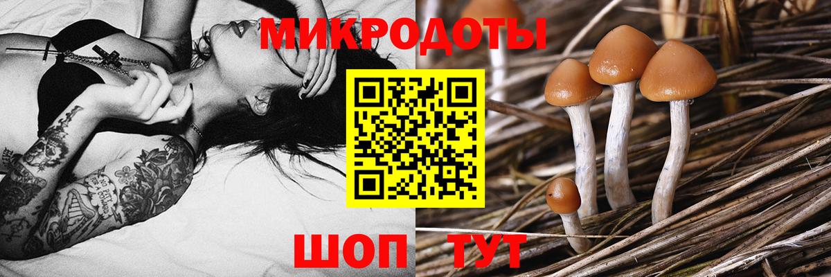 Истра  Галлюциногенные грибы Psilocybine cubensis  Вход с VPN  Галлюциногенные грибы прущие грибы 