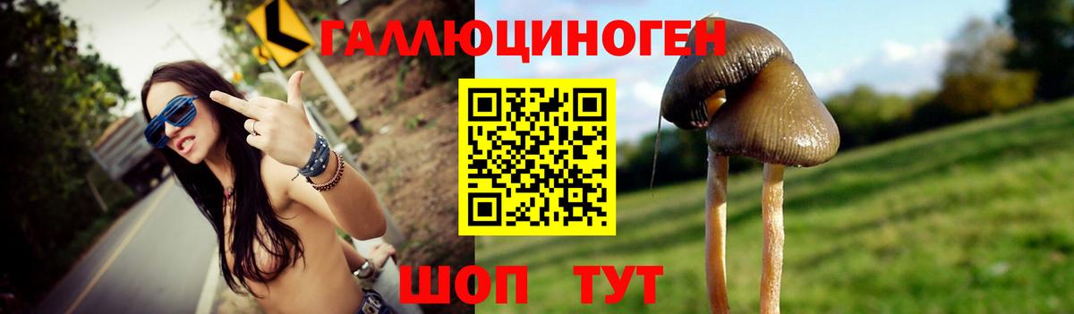 Псилоцибиновые грибы GOLDEN TEACHER Истра